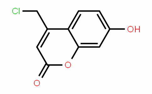 4-(chloromethyl)-7-hyDroxy-2H-chromen-2-one