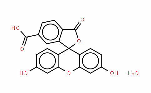 6-羧基荧光素