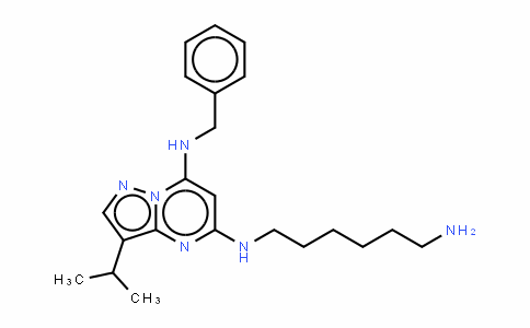 N5-(6-氨基己基)-3-异丙基-N7-苄基吡唑并[1,5-A]嘧啶-5,7-二胺
