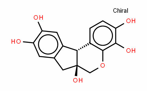 HeMatoxylin