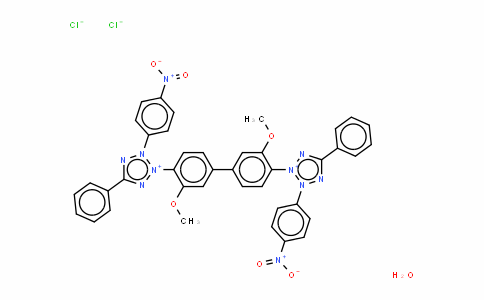 氯化硝基四氮唑兰