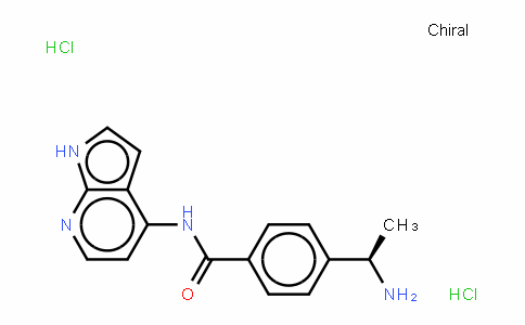 Y-39983 (dihydrochloride)