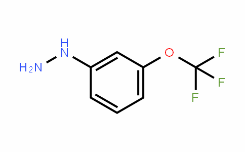 (3-Trifluoromethoxy-phenyl)-hydrazine