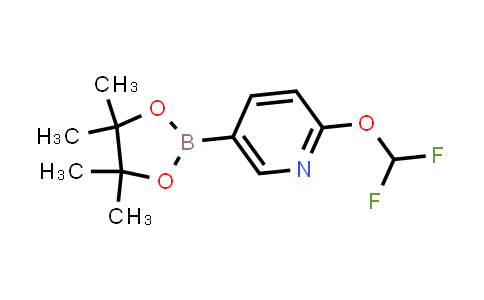 2-(Difluoromethoxy)-5-(4,4,5,5-tetramethyl-1,3,2-dioxaborolan-2-yl)pyridine