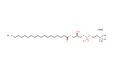 1-Octadecanoyl-sn-glycero-3-phosphocholine