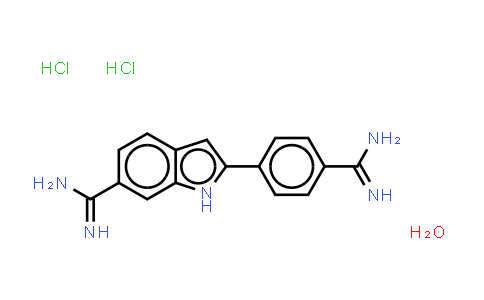 4',6-二脒基-2-苯基吲哚二盐酸盐