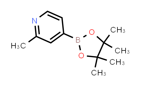 2-Methylpyridine-4-boronic acid pinacol ester