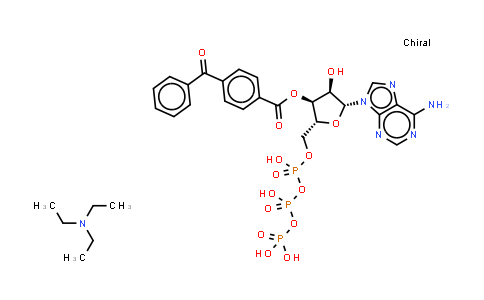 BzATP triethylammonium salt