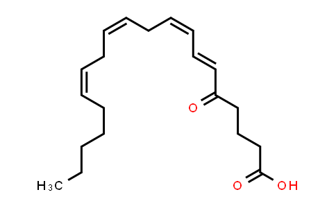 5-Oxo-ETE