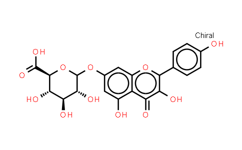 Kaempferol 3-glucuronide