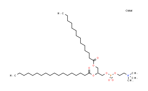 1-Myristoyl-2-Stearoylphosphatidylcholine