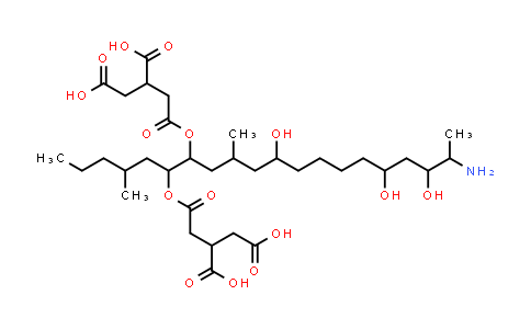 伏马毒素B1