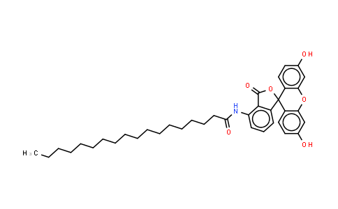 5-(Octadecanoylamino)fluorescein