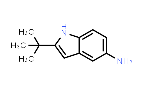 2-Tert-butyl-1H-indol-5-amine