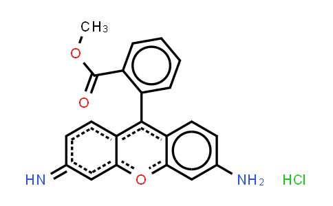 Rhodamine 123
