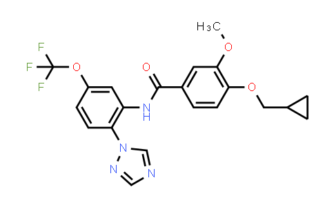 VU6012962