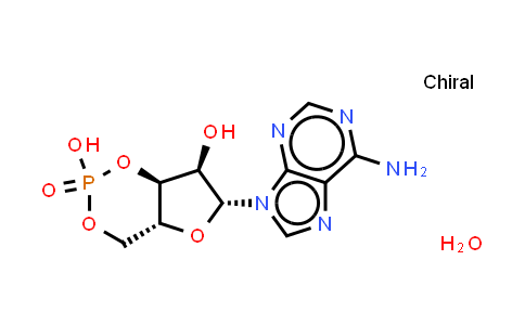 Cyclic AMP