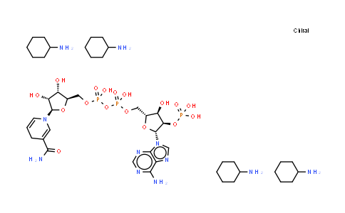NADPH tetracyclohexanamine