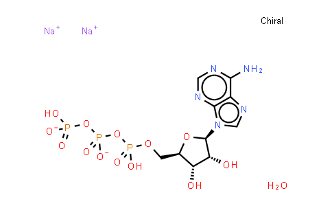 5'-ATP-Na2