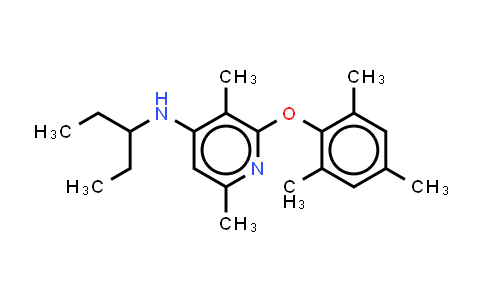 CP 376395