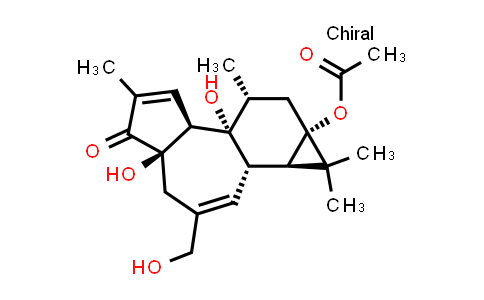 12-脱氧佛波醇-13-乙酸