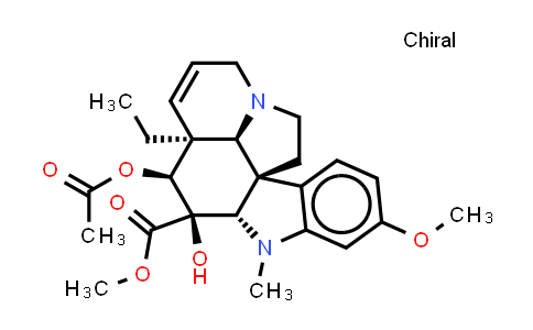 文朵灵