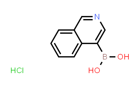 Isoquinolin-4-ylboronic acid hydrochloride