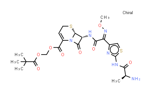Ceftizoxime alapivoxil