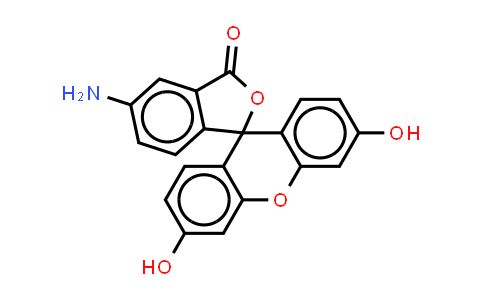 5-Aminofluorescein