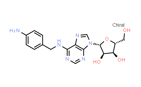 N(sup 6)(p-aminobenzyl)adenosine