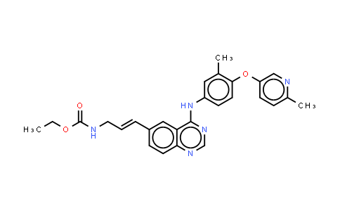 CP-724714