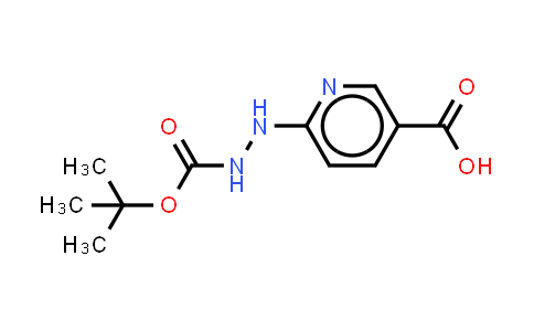 6-Boc-hydrazinonicotinic acid