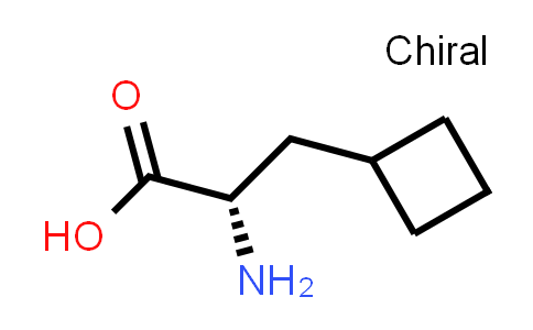 (S)-2-aMino-3-cyclobutylpropanoic acid