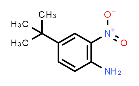 4-(tert-butyl)-2-nitroaniline