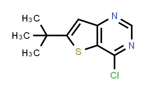 6-t-butyl-4-chlorothieno[3,2-d]pyrimidine