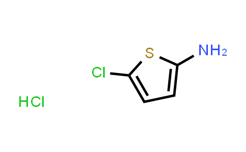 5-chlorothiophen-2-aMine hydrochloride