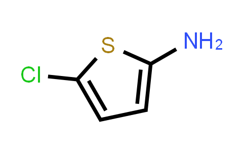 5-Chloro-thiophen-2-ylamine