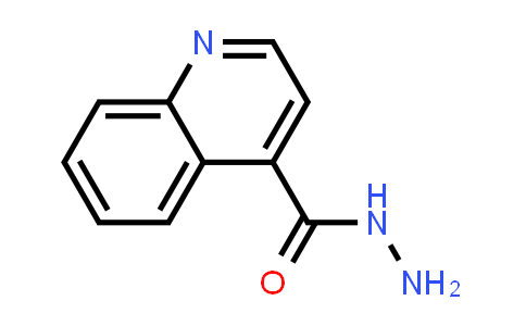 Quinoline-4-carboxylic acid hydrazide