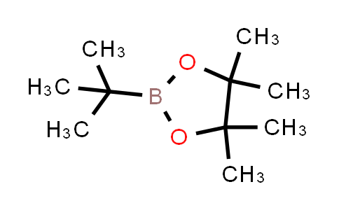 tert-Butylboronic acid pinacol ester