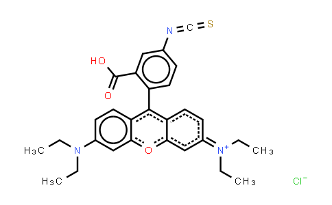 Rhodamine B Isothiocyanate